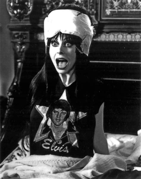 elvira fake nudes|Casandra Peterson, Elvira, Mistress of the Dark .